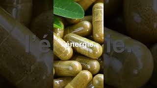 MORINGA LE SUPERALIMENT ENERGETIQUE APRES 55 ANS Moringa [upl. by Araas]