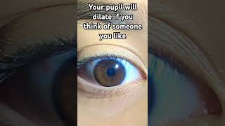 Your pupil will dilate if you think of someone you like pupils [upl. by Schlenger538]