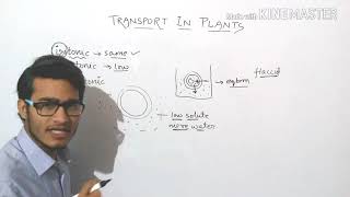 Plasmolysis explained in detail turgid  flaccid and plasmolysed cells [upl. by Earej]