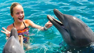 We Play with Dolphins on a Tropical Island Kids Fun TV [upl. by Stempien]