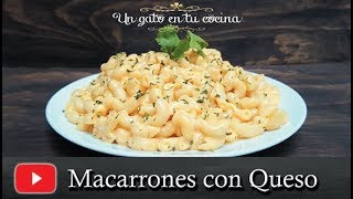 Macarrones con Queso  Receta Fácil y Económica [upl. by Eve]