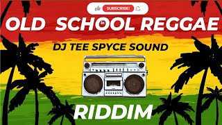 Old School Reggae Riddim  Reggae Mix 2024 [upl. by Imojean]