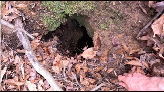 Dropping Go Pro Down This Unexplored Cave Revealed There Was More [upl. by Devlin]