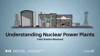 Understanding Nuclear Power Plants Total Station Blackout [upl. by Aik]