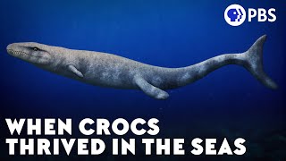 When Crocs Thrived in the Seas [upl. by Cantu]