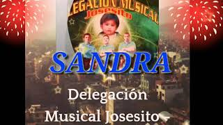 SANDRAnuevodelegación musical josesito 2018 [upl. by Nnylecyoj]