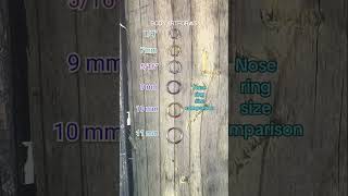 Nose Ring Diameter Size Guide [upl. by Noxin]