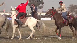 Afghan horsemen vie in the traditional game of Buzkashi [upl. by Seagrave832]