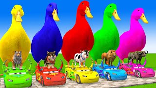 5 Giant Duck CartoonCowElephantGiraffeTigerLion Paint Wild Animals Crossing Fountain Animation [upl. by Alon]