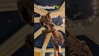 Dinoland 🦖 dinosaur trexanimalkingdomdinoland [upl. by Nyladam23]