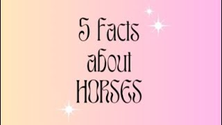 quot🐴📚 Horse Facts You Neighver Knew 🤣quot HorseFacts NeighKnowledge animalfacts [upl. by Carlyle]