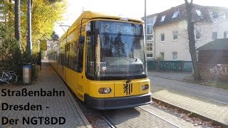 Straßenbahn Dresden  Der NGT8DD HD [upl. by Anitsugua663]