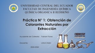 Práctica 1  Extracción de Colorantes Naturales  FIQUCE [upl. by Ransome]