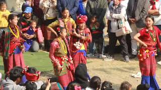 Sonam losar 2080 Tamang Cultural Nuwakot trisuli gonpa [upl. by Nedaj]