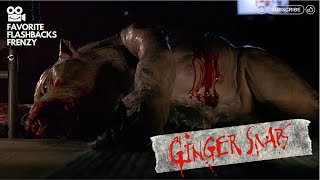 Ginger Snaps 2000  Final battle [upl. by Ethelstan]