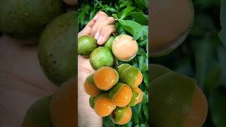 Mamoncillo Si Buah Langka buahunik buahlangka shorts [upl. by Etiuqal]