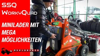 CAST MINILADER IM TEST SSQ11 SSQ15 ECOQUAD WORKYQUAD  Amselgruber Landtechnik 2022 [upl. by Cecilius]