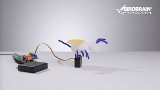 Bee Waggle Dance  Hummingbird Robotics Kit amp microbit [upl. by Octavian]