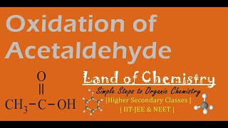 Oxidation of Acetaldehyde Acetic Acid Oxidizing Agent Carbonyl compounds Organic Chemistry [upl. by Rialcnis]