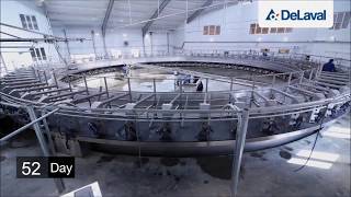 DeLaval PR3100HD installation and launching [upl. by Enattirb]