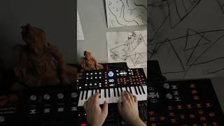 Playing around  composing on the Hydrasynth Explorer digital synthesizer [upl. by Occor]