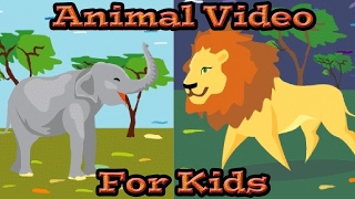 Animals for KIDS  Learn Animal Sounds  Kids Learning Videos [upl. by Dulci]