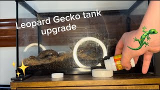 Leopard Gecko tank upgrade [upl. by Silirama]