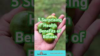 5 Surprising Health Benefits of Batuan for Immunity amp Detox  carecrash [upl. by Sebastiano650]