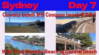 〈Sydney Day7〉Clovelly beach から Cooggee beachまで歩く [upl. by Nogam851]