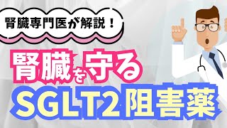 【腎臓学会も推奨】腎臓を保護するSGLT2阻害薬を腎臓専門医が解説 [upl. by Aranahs]