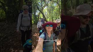 Kilimanjaro trek Day 1 hiking travel [upl. by Sutherland]