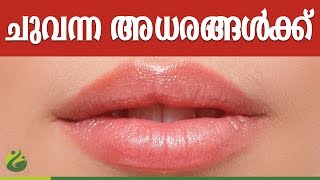 Malayalam health tips l red lips malayalam l malayalam health videos [upl. by Engdahl917]