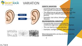 GCSE AQA Biology  B6 inheritance variation and evolution  variation [upl. by Moscow30]