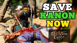 Finally found a way to save Kanon in Emerald Grove Arka Baldurs Gate 3 [upl. by Boonie]