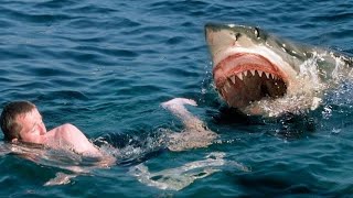 How to Survive a Shark Attack [upl. by Enomaj]