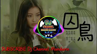 Peng Ling 彭羚 Qiu Niao囚鸟 DJ REMIX [upl. by Devy]