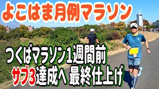 つくばマラソン1週間前 サブ3達成へ向けて最終仕上げ【よこはま月例マラソン】 [upl. by Ramiah]