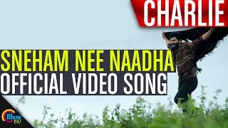 Charlie  Sneham Nee Naadha Song Video  Dulquer Salmaan Aparna Gopinath Parvathy  Official [upl. by Haorbed813]