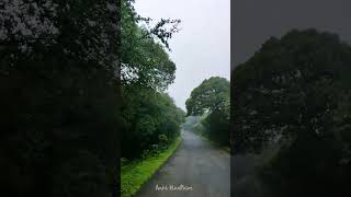 Mahabaleshwar in Monsoon 🤩 shorts mahabaleshwar maharashtra travel [upl. by Krefetz752]