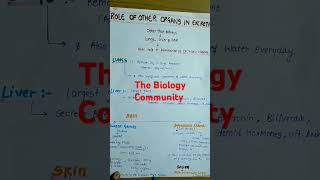 ROLE OF OTHER ORGANS IN EXCRETION PART2Excretoryproductsamptheireliminationclass11neetshortscbse [upl. by Attenej427]