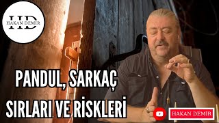 PANDUL  SARKAÇ SIRLARI ve RİSKLERİ [upl. by Eiggem]