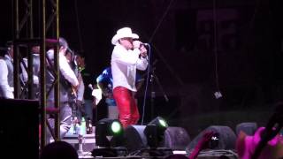 Ignoraste Mis Lagrimas Pancho Barraza en Zacatepec 2014 [upl. by Strohl]