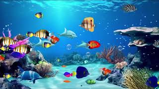 Bedtime Music for Babies 💤 Peaceful Fish Animation Lullaby 🐟 [upl. by Homovec724]