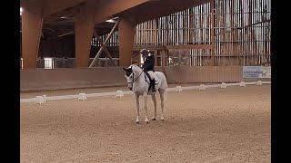 Dressage Club Elite Grand Prix Cylianne et Lucie [upl. by Ymmak]