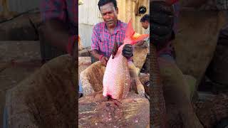 ROMIO FISH 🐟 KASIMEDU FISH MARKET FISH CUTTING SKILLS kasimedufihcutting [upl. by Yrred415]