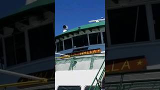 ⛴️ BEAUTIFUL Seattle to Bremerton Ferry boat ride [upl. by Rothberg]