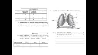 OMG 12 Respirarion [upl. by Waring]