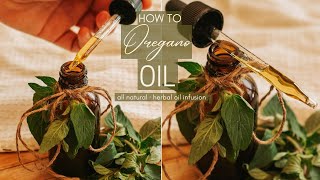 How to make Oregano Oil at home [upl. by Ardnuassak262]