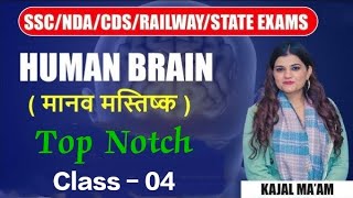 Class 04 Human Brainमानव मस्तिष्क Biology  ALP  Technician  SSC  CDS  NTPC  biology​ [upl. by Netsrek]