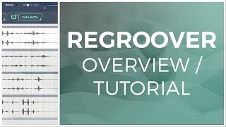 Regroover by Accusonus OverviewTutorial [upl. by Adnim]